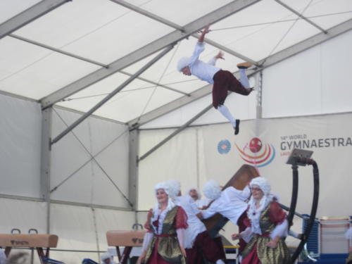 2011_07_14 16_10_45_GymnaestradaGerhard_410
